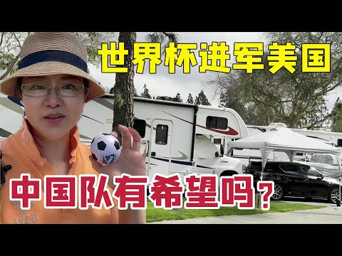 卡拉菲奥里,即将回归阿,森纳赛场,2026世界杯投注网,世界杯投注,足球投注,体育博彩,世界杯赔率,在线投注,投注技巧,世界杯赛程,世界杯分析,世界杯预测